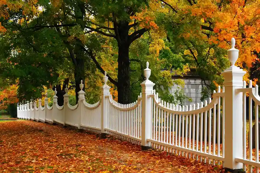 Key Features Of Wood Fencing For Security And Style Malibu, CA