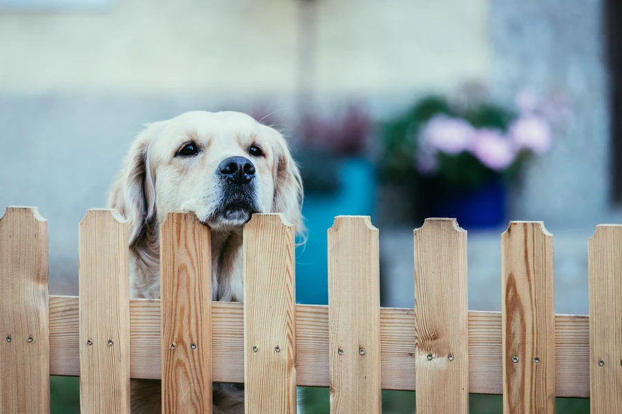 Reliable Wood Fencing Malibu, CA